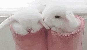 养生常识人体十大神奇健康秘密,人身体的各个部位最扛冻