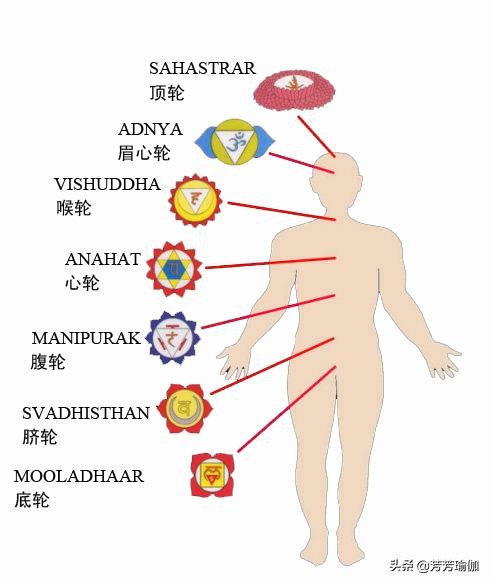 塑形练什么瑜伽最有气质,怎样练瑜伽才能让你更美