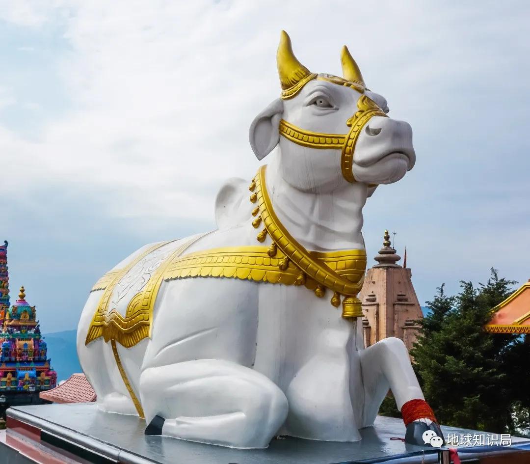 印度不让吃鸡肉吗,印度是不吃牛肉的国家吗
