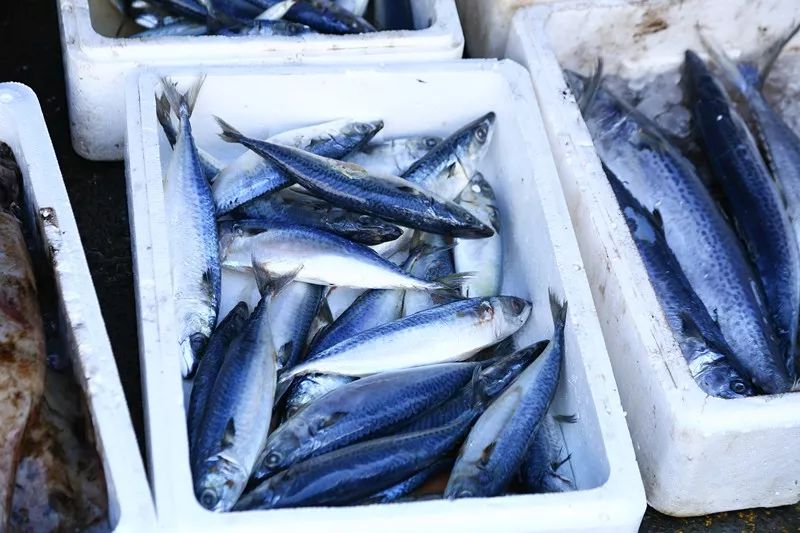 鱼丸小吃一般用什么鱼肉,鱼丸里面真的是有香精吗