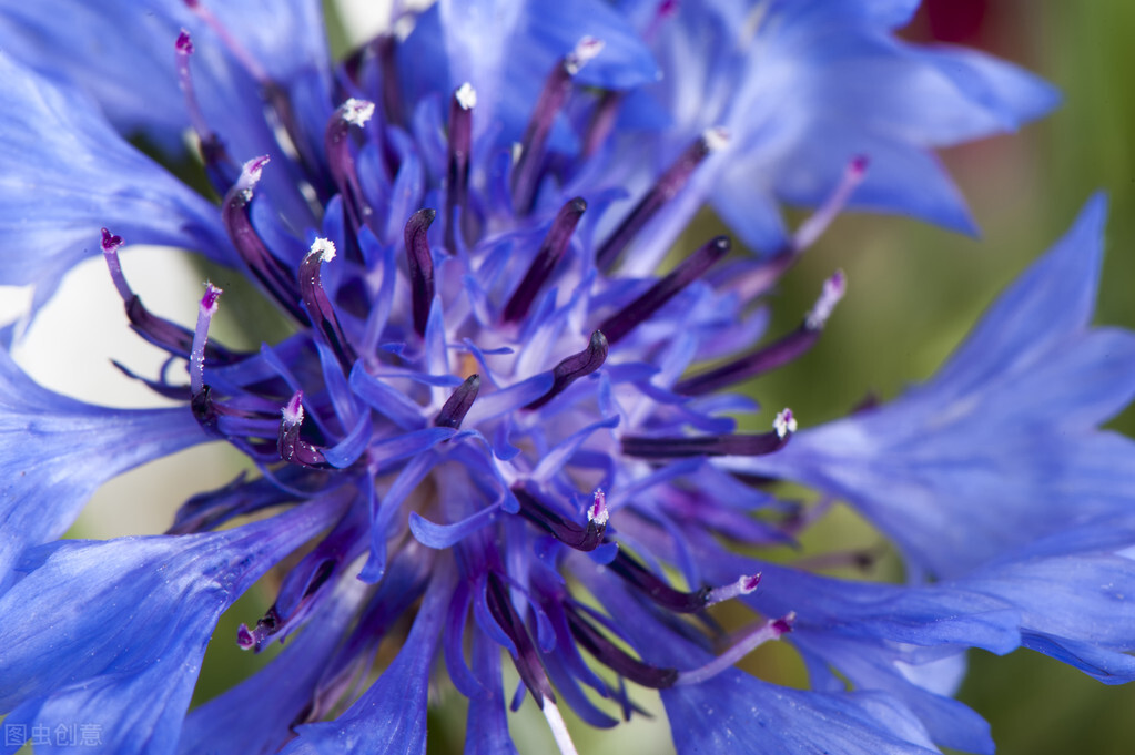目前爱沙尼亚现状,揭秘爱沙尼亚