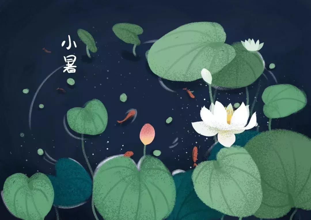 小暑至觅一处清凉守一处静,酷暑难耐寻一份心静觅一处清凉