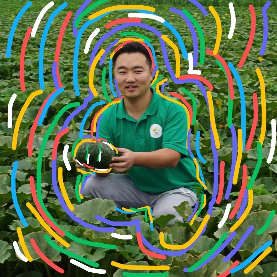 真正的有机农场纯天然蔬菜,种菜有机食品有哪些