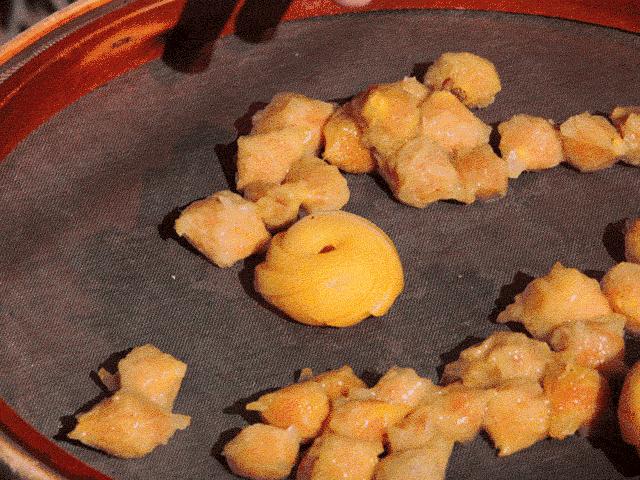 大理的一棵梅花,一棵大理梅品百味解千愁