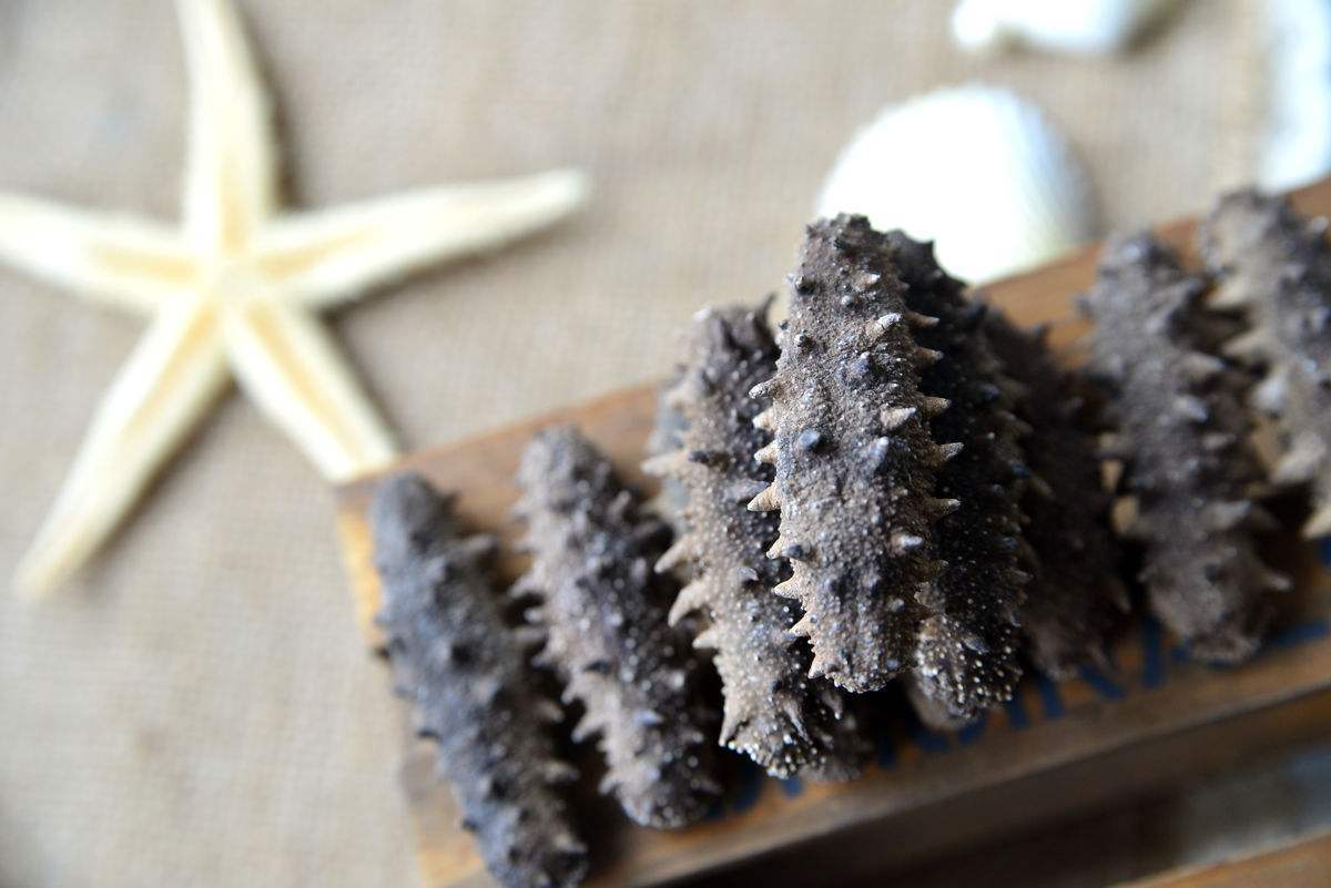 海参别沾油就行,海参不可不知的秘密