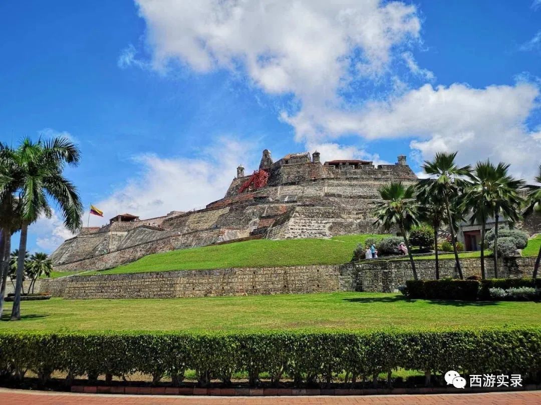 三进三出哥伦比亚送鲜花求爱，沪C穿越五大洲、第一次在南美相亲