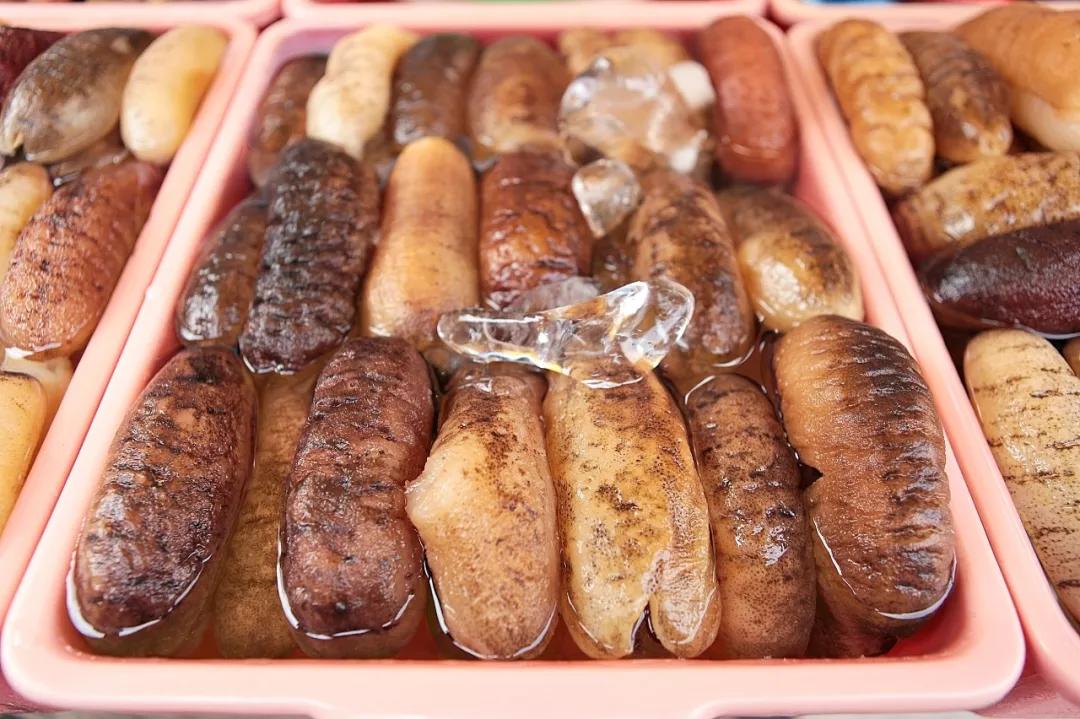 海参是北极参好还是辽参好,海参刺参光参