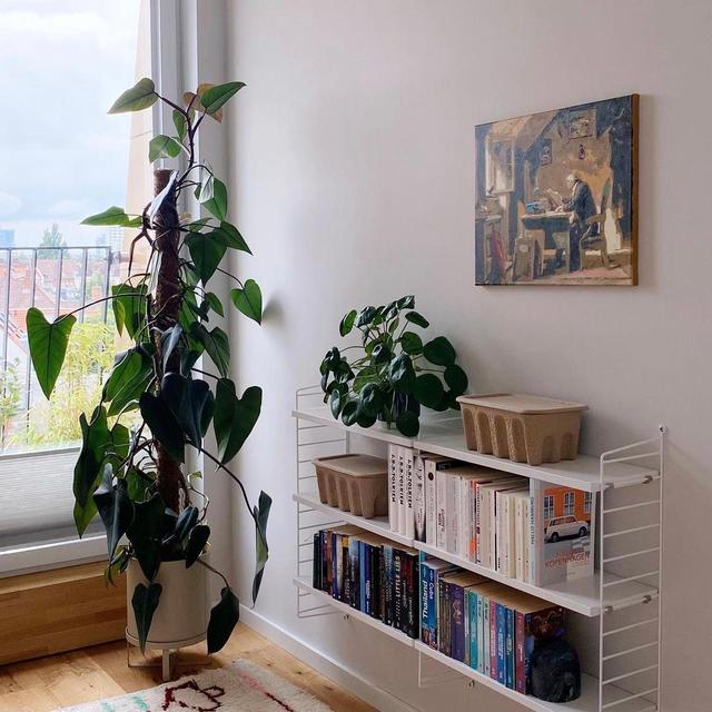 德国夫妇的二人世界：从无到有，全屋简约精致，治愈许多人