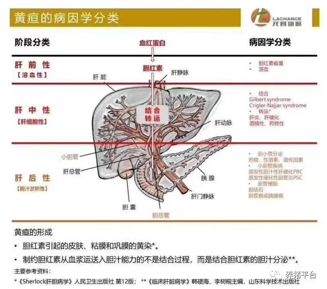 溶血性黄疸吃什么中药降下来,溶血性黄疸吃什么能快速降下去