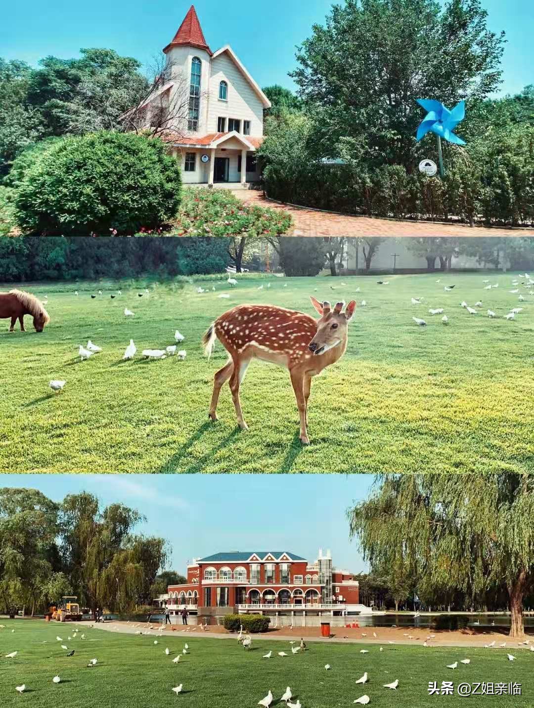 李云迪嫖娼被举报,明星再小心,还是躲不过神秘的朝阳群众