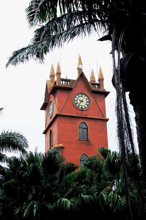 我的海南之旅作文,从海口到三亚感受海南的无限魅力