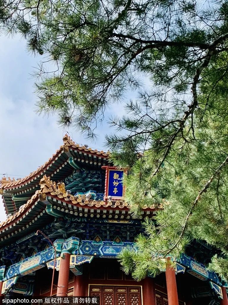 别错过京城这些公园已有别样风景,北京看花海最好的地方