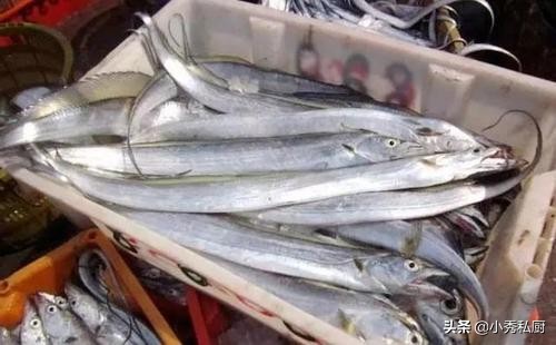 冰鲜带鱼为啥比冷冻带鱼便宜,为什么鲜带鱼还不如冻带鱼口感好
