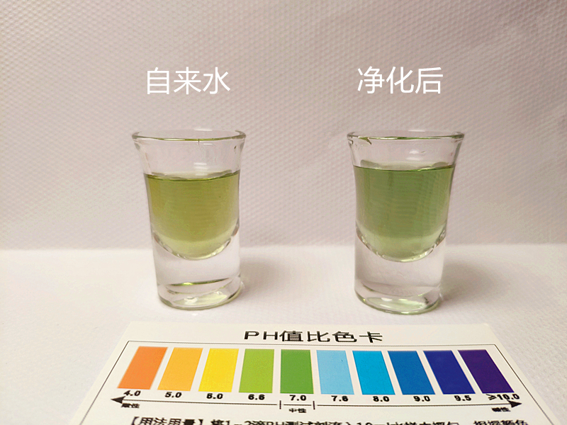 A.O.史密斯旗下专业净水品牌有品上线全身芯守护成全健康初衷