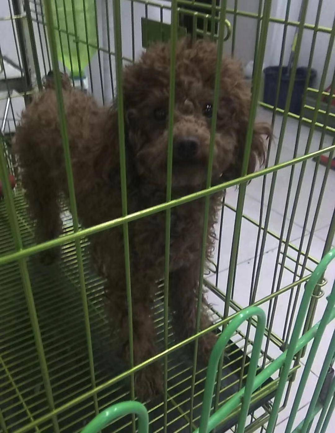 漫漫归家路的感受,漫漫回家路真是太煎熬了