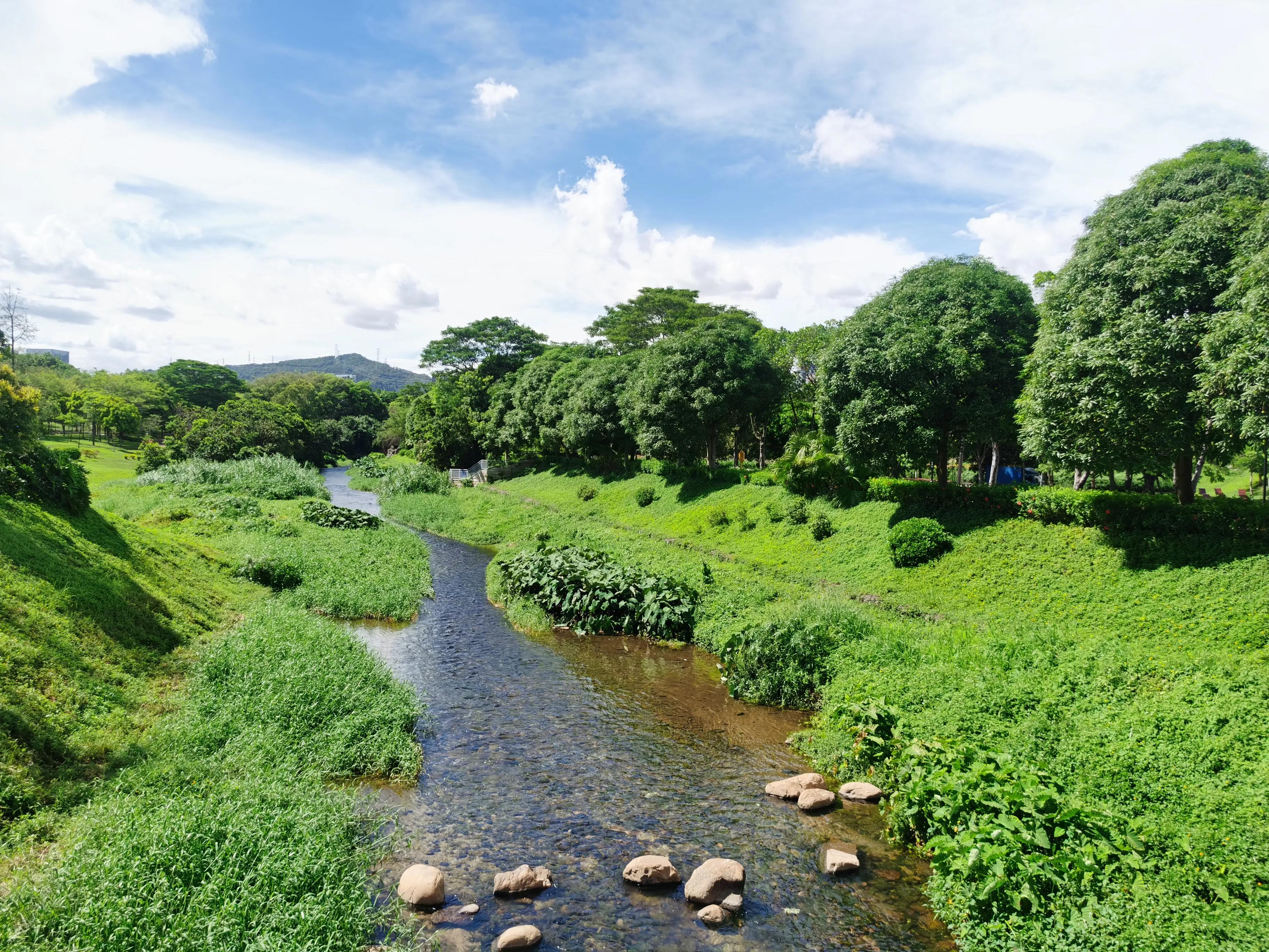 笔架山公园福田河,深圳笔架山福田河图片