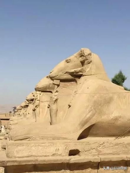 埃及旅行安全吗,埃及旅行后感悟