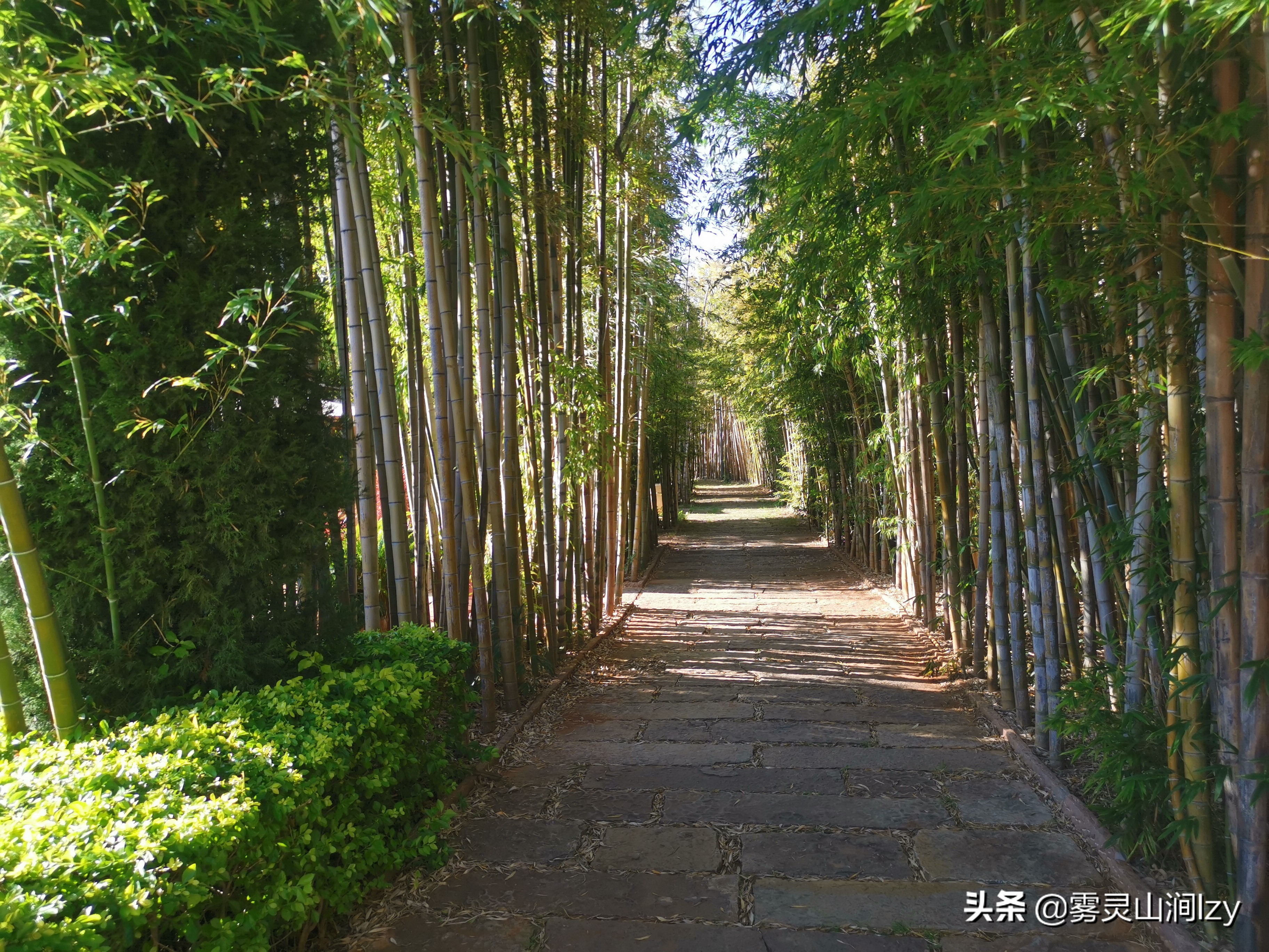 全国希尔顿一览,全中国度假酒店