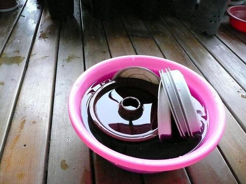 给兰花消毒我是这样做的,有化学和物理消毒2种,细分了几种方法