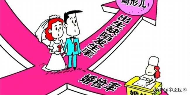 婚检都检查什么项目必须要吗,民政局免费婚检都检查什么项目