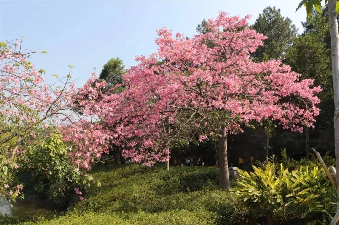 清远森波拉温泉度假村酒店好玩吗,清远森波拉温泉度假酒店附近景点
