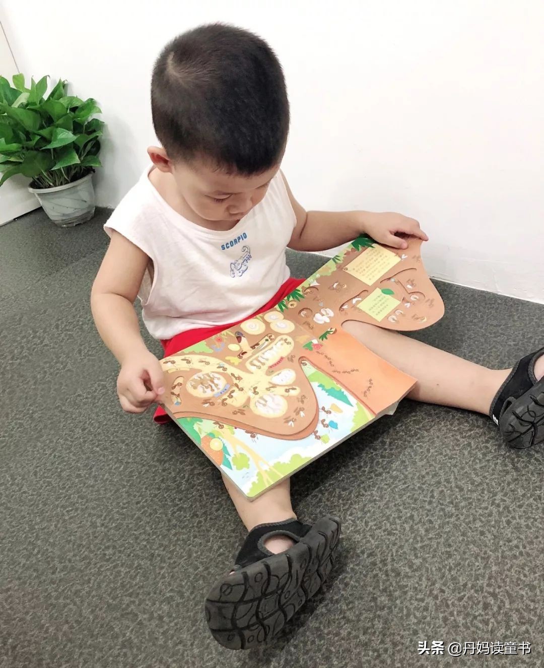 夏季流行的裙子童装,夏天连衣裙短袖童装