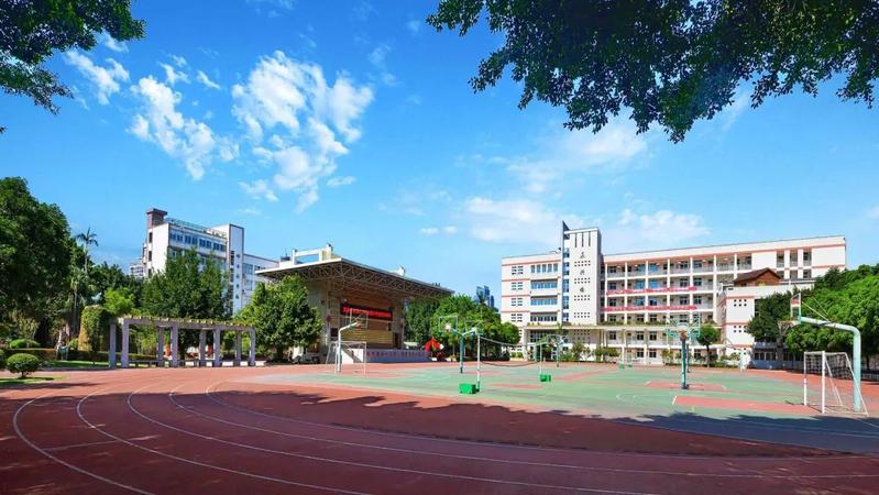 福建格致中学自主招生,2023年福州格致中学招收人数
