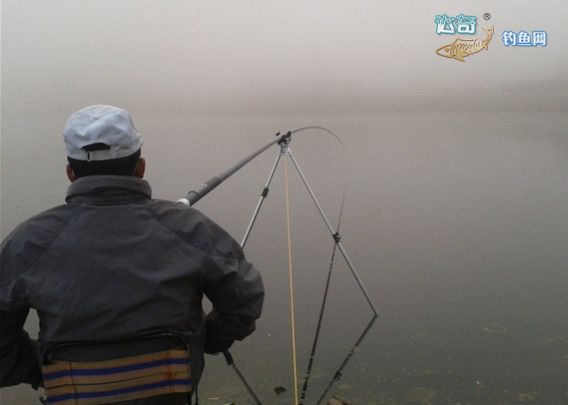 传统钓鱼竿怎么选择品牌型号,各种传统钓鱼竿测评