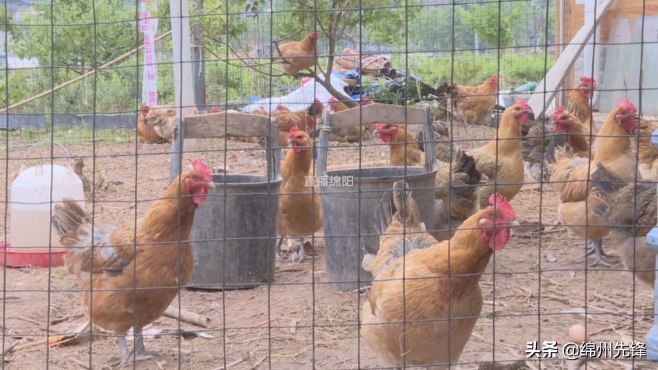 新闻宣传报道助推乡村振兴,新闻媒体助力乡村振兴