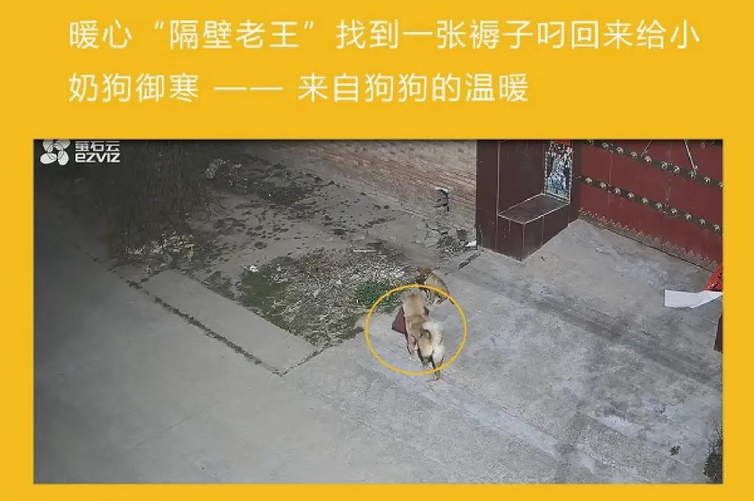 躺着能看到世界,躺着看世界的视频