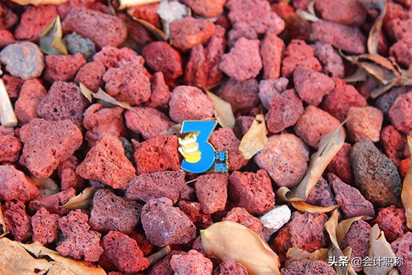 大一挂科考证可以补救学分吗,大学挂科对就业有什么影响吗