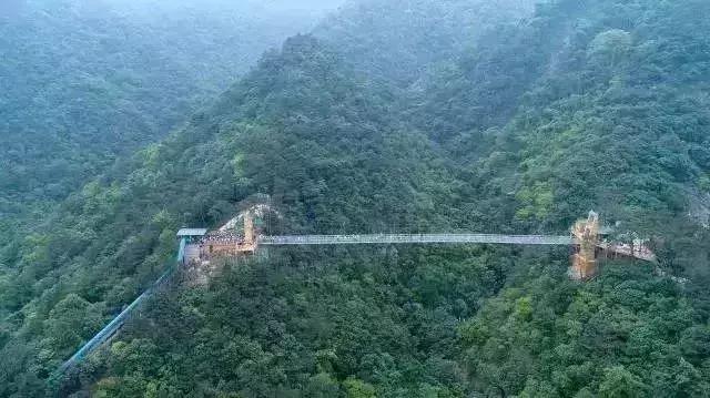 广州周末踏青好去处人少的地方,适合清明踏青的地方广州有哪些