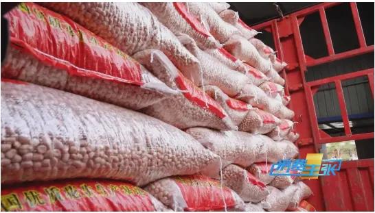 灏佺洏娑ㄤ环,灏佺洏鎻愪环