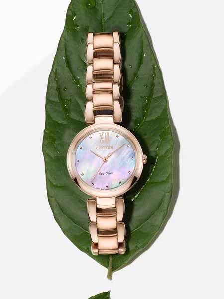 女表经济实惠好看的手表,2000到3000机械女表