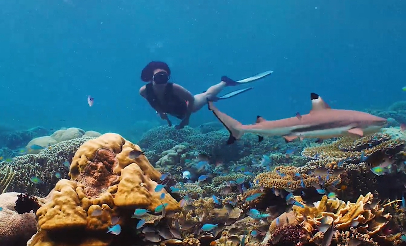 在死海沉浮，探秘无人岛，真正的航海生活比书里精彩一百倍