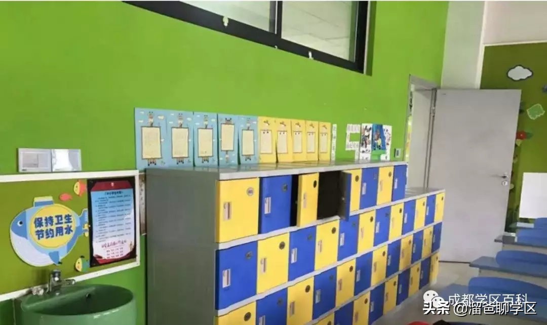 大源片区小学排名,高新区大源片区学校排名