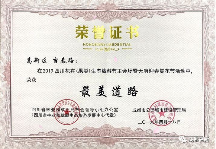 成都最贵的街天府二街,成都最真实探店