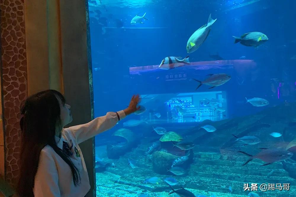 三亚不值得去的地方,三亚不值得去的景点有哪些