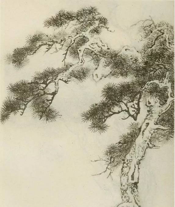 画树教程,怎么画树好看又超级简单