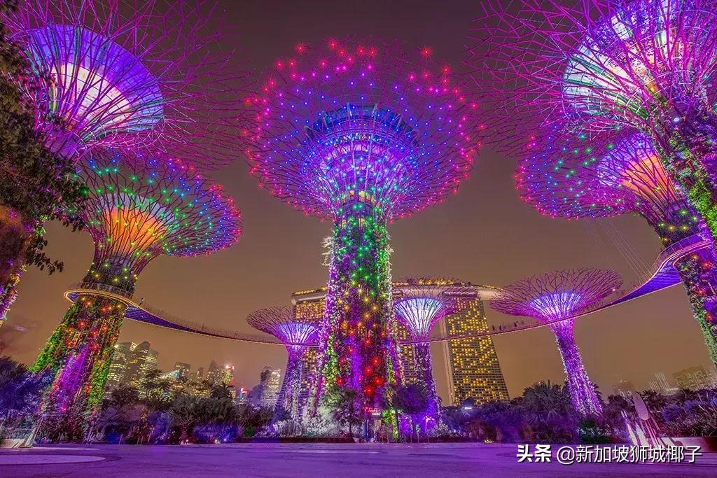 新加坡在国人眼里,外国人惊叹新加坡