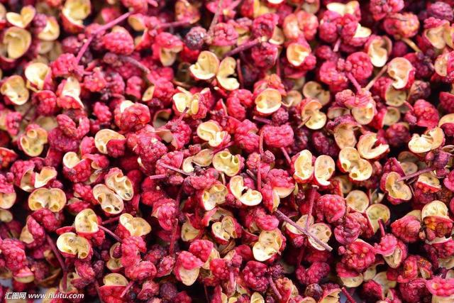 一个河南人眼中的河南,陕西最有前景的农业