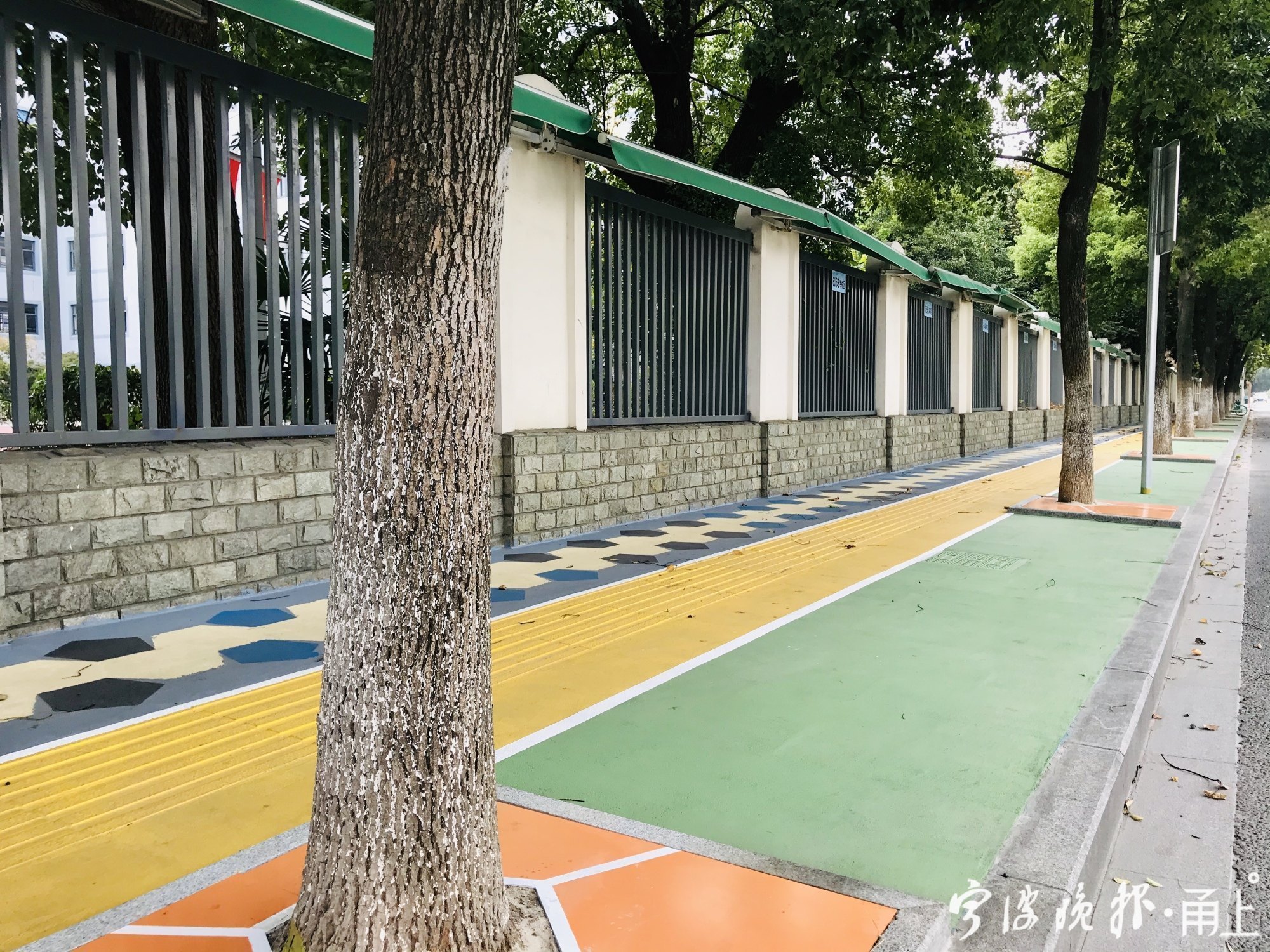 宁波鄞州的最美公路,宁波鄞州区最美的路