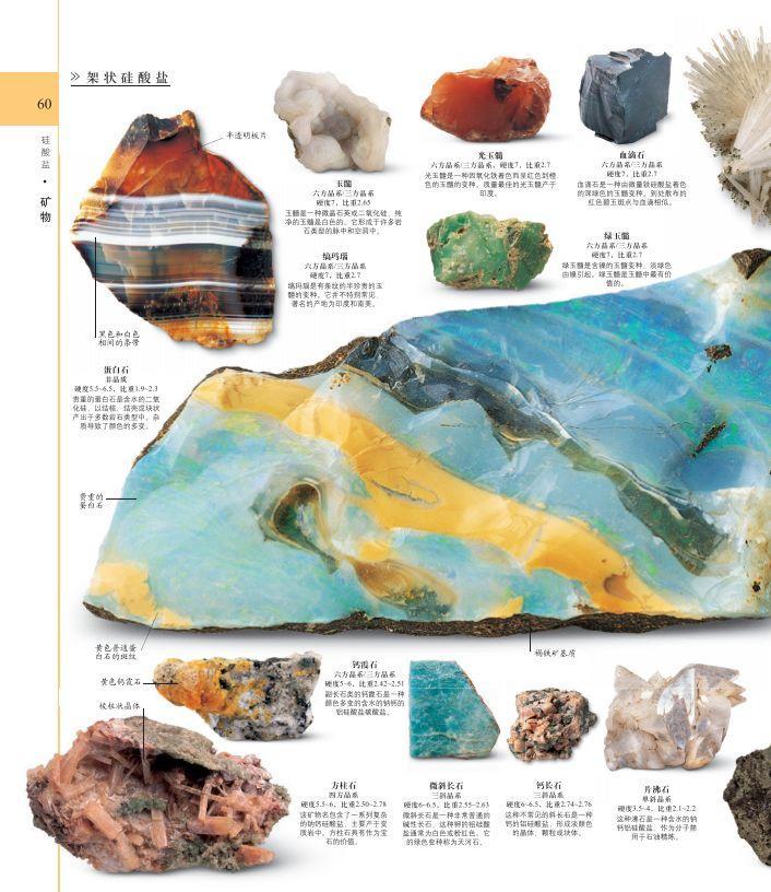 dk系列书籍六岁孩子适合入手哪些,dk儿童认知书推荐