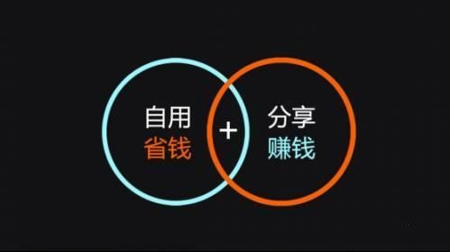 顺势而为的最高境界雷军,雷军顺势而为的事例