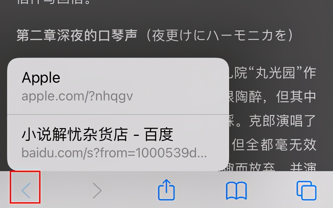 iphone的safari浏览器使用方法,iphone的safari浏览器是多少版本