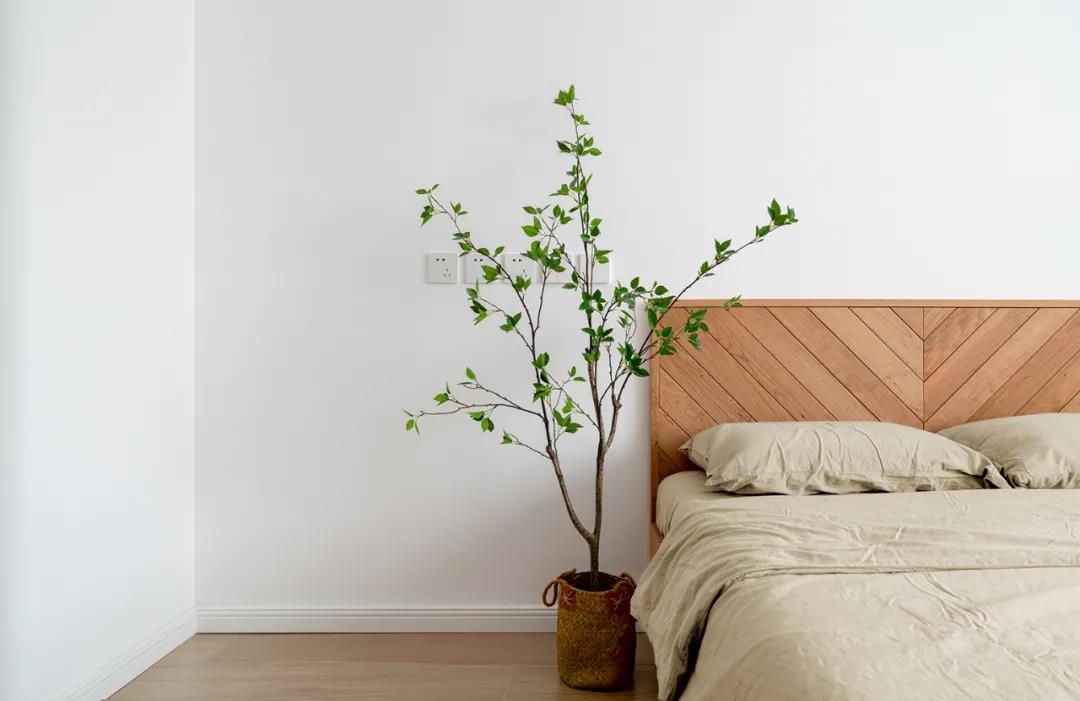 95后夫妻晒智能婚房,90后夫妻新房图片