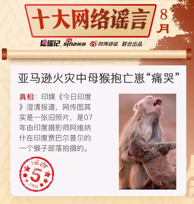 最新的比较严重的网络谣言,近几年较为严重的网络谣言