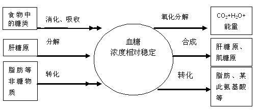 高血糖是怎么引起的,高血糖怎么引起的