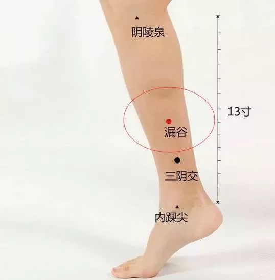 女人的慢性病,女人必须打通的一条经络