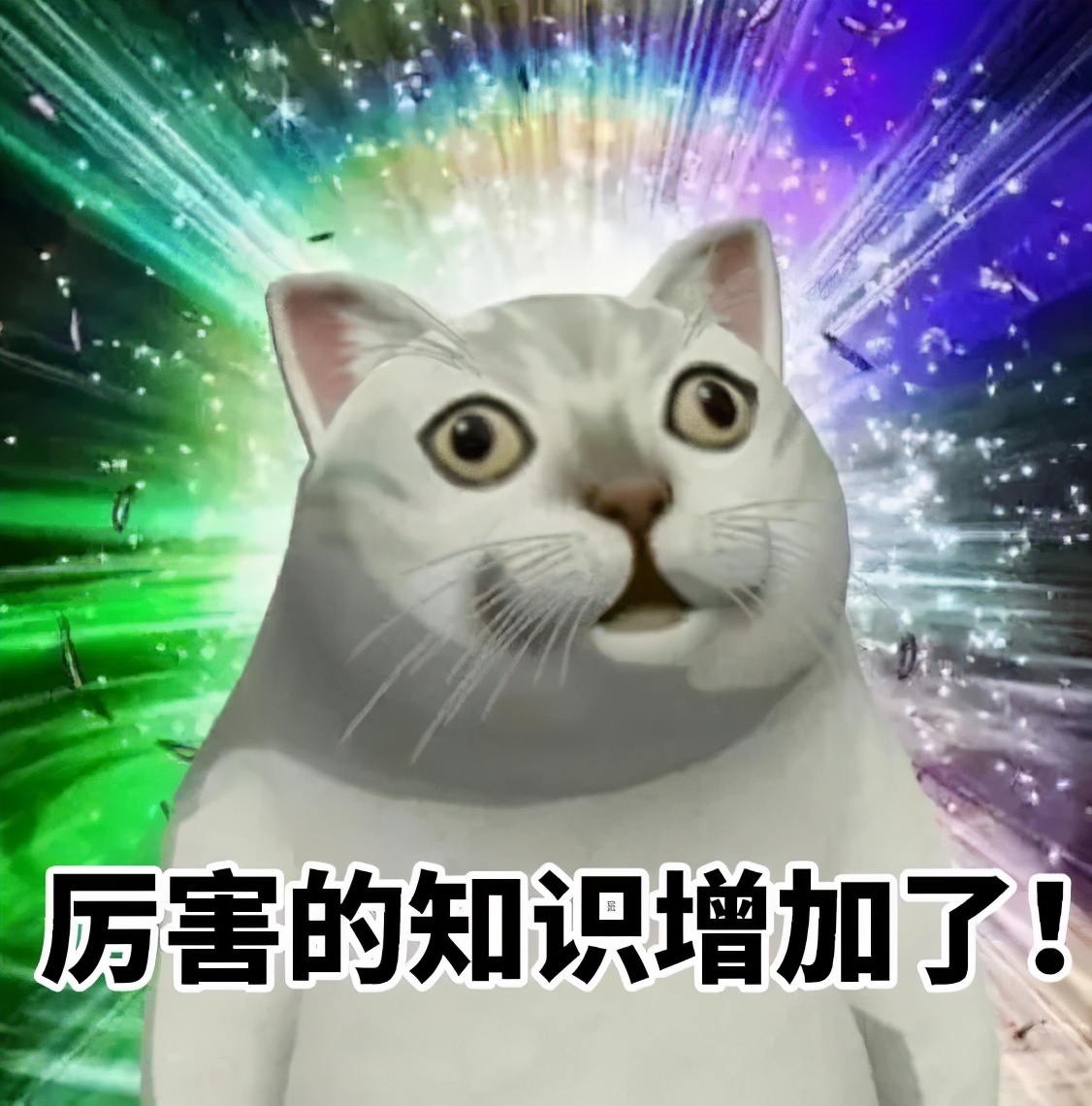 巴马是上天遗落人间的一块净土,上天遗落人间的美景